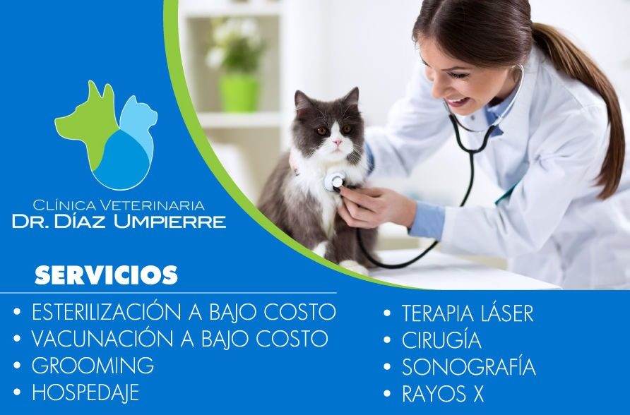 Servicios veterinarios (Servicios)